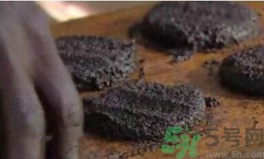 蚊子可以吃嗎？吃蚊子會怎么樣？