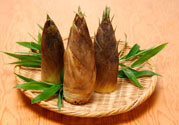 減肥能吃竹筍嗎？吃竹筍會胖嗎？