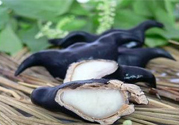 菱角汁染色怎么辦？菱角汁怎么洗掉？
