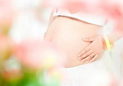 孕婦可以喝米茶嗎？懷孕可以喝米茶嗎？