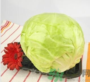 孕婦可以吃包菜嗎？孕婦吃包菜好嗎？