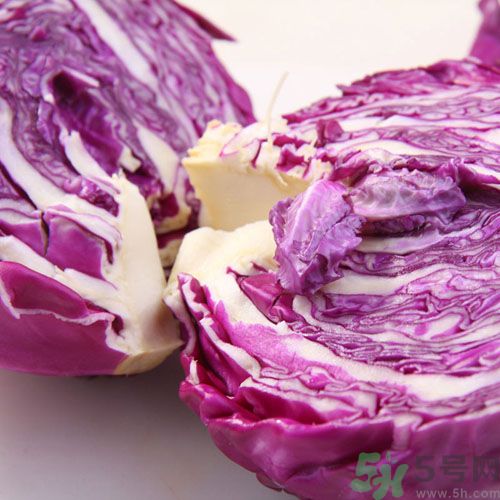 紫甘藍和包菜有什么區(qū)別？紫甘藍是包菜嗎？