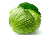 包菜是涼性的嗎？包菜是涼性還是熱性的？