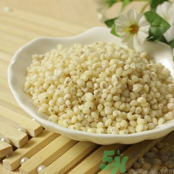 高粱米是涼性嗎？高粱米是涼性還是熱性？