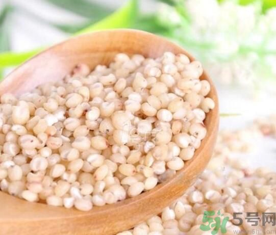 高粱米是發(fā)物嗎？高粱米是不是發(fā)物？