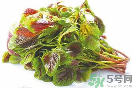孕婦可以吃漢菜嗎？懷孕可以吃漢菜嗎？