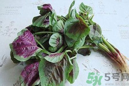 寶寶可以吃漢菜嗎？寶寶吃漢菜好嗎？