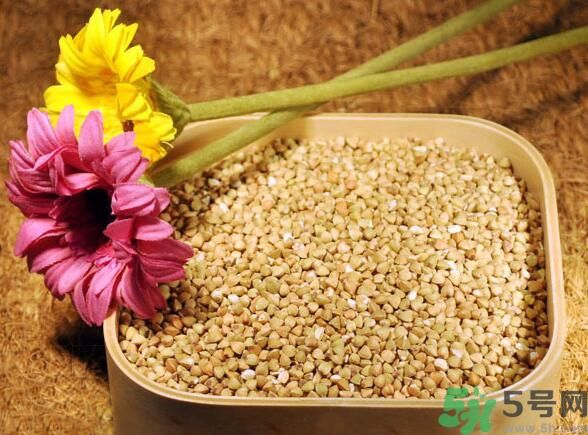 蕎麥?zhǔn)前l(fā)物嗎？蕎麥?zhǔn)遣皇前l(fā)物？