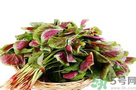 胃不好可以吃莧菜嗎？胃不好吃莧菜好嗎？