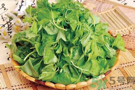 胃不好可以吃莧菜嗎？胃不好吃莧菜好嗎？