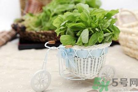 月經(jīng)期間可以吃漢菜嗎？來(lái)月經(jīng)可以吃漢菜嗎？