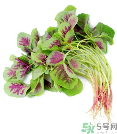 吃莧菜會皮膚過敏嗎？吃莧菜皮膚過敏怎么辦？