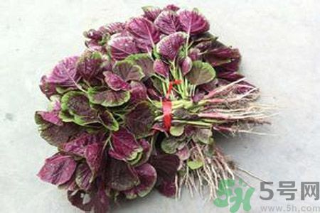 衣服上染上了莧菜汁怎么辦？衣服上的莧菜汁怎么洗掉？