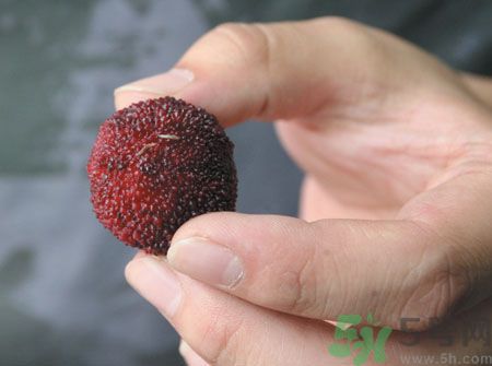楊梅里面的蟲子能吃嗎？楊梅里面的蟲子吃了會(huì)怎么樣？