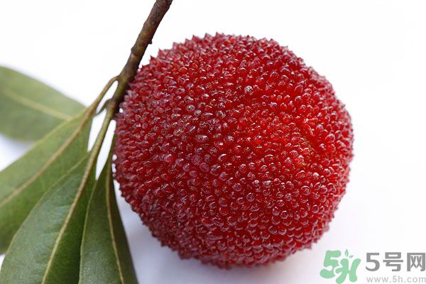 楊梅里面的蟲子能吃嗎？楊梅里面的蟲子吃了會(huì)怎么樣？