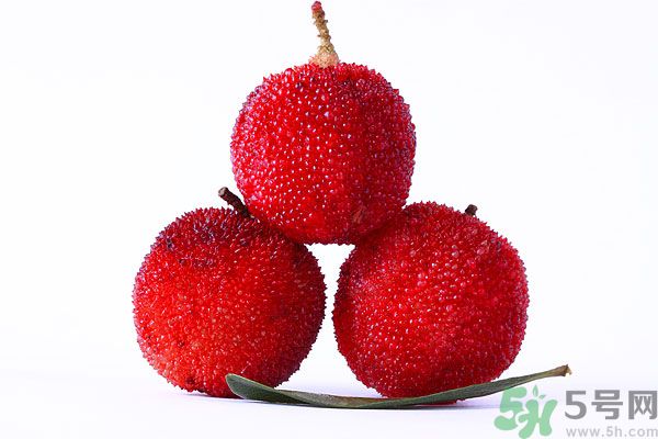 楊梅里面的蟲子能吃嗎？楊梅里面的蟲子吃了會怎么樣？