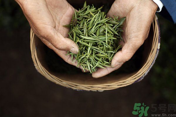 吃魚的時候能喝茶嗎？吃魚可以喝茶嗎？