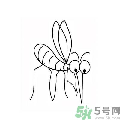 夏天家中有蒼蠅怎么辦？夏天如何滅蒼蠅？