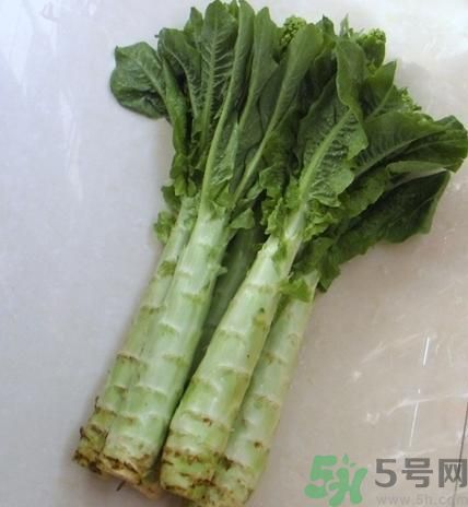 筍子是不是發(fā)物？筍子是發(fā)物嗎？