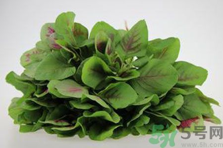 莧菜可以生吃嗎？莧菜生吃了會(huì)怎樣？