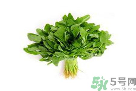 莧菜可以生吃嗎？莧菜生吃了會(huì)怎樣？
