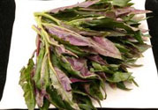 高血壓可以吃莧菜嗎？吃莧菜可以降血壓嗎？