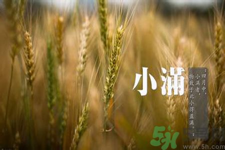 小滿名字的由來？小滿是什么意思？
