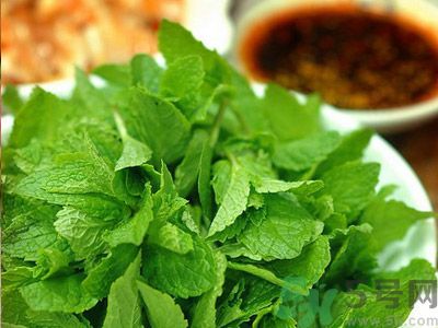 薄荷有什么功效？薄荷的攻效是什么？