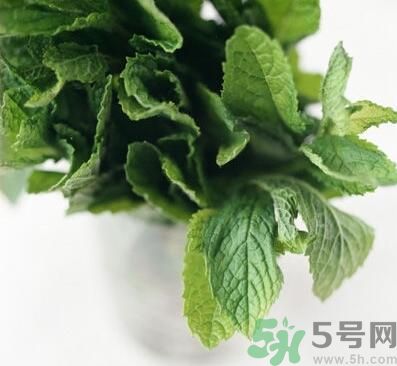 薄荷有什么功效？薄荷的攻效是什么？