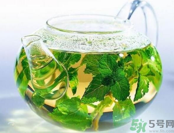 薄荷茶怎么泡好喝？薄荷茶的沖泡方法有哪些？