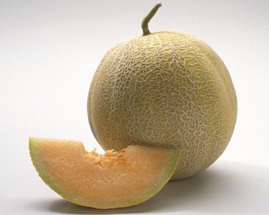 哈密瓜是發(fā)物嗎？哈密瓜是不是發(fā)物？