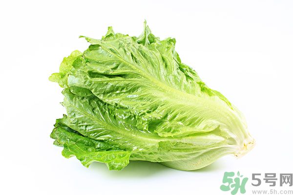 生菜在冰箱放久了能吃嗎？如何分辨生菜新不新鮮？