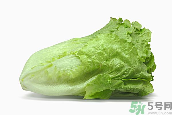 生菜在冰箱放久了能吃嗎？如何分辨生菜新不新鮮？