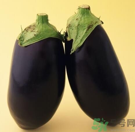 青皮茄子和紫皮茄子有什么區(qū)別？青皮茄子好還是紫皮茄子好？