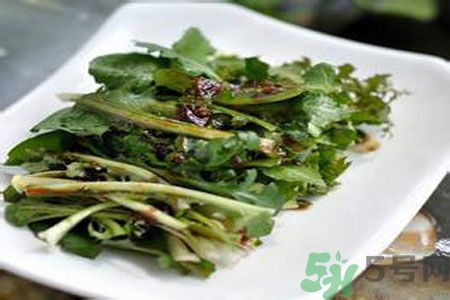 寶寶可以吃苦菜嗎？寶寶多大可以吃苦菜？