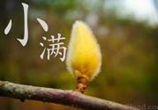 小滿名字的由來(lái)？小滿是什么意思？