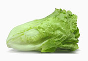 生菜在冰箱放久了能吃嗎？如何分辨生菜新不新鮮？