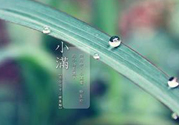 為什么小滿濕氣重？小滿怎么除濕氣？