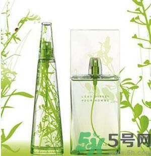 蚊子叮的包過幾天又癢是為什么？蚊子叮的包過幾天又癢怎么辦？