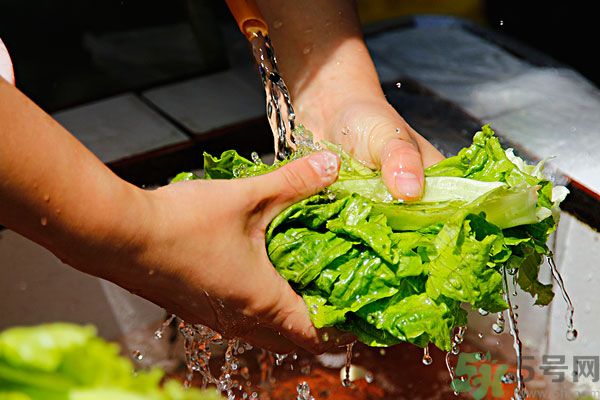 生菜生吃會(huì)有寄生蟲嗎？生菜生吃會(huì)長(zhǎng)寄生蟲嗎？