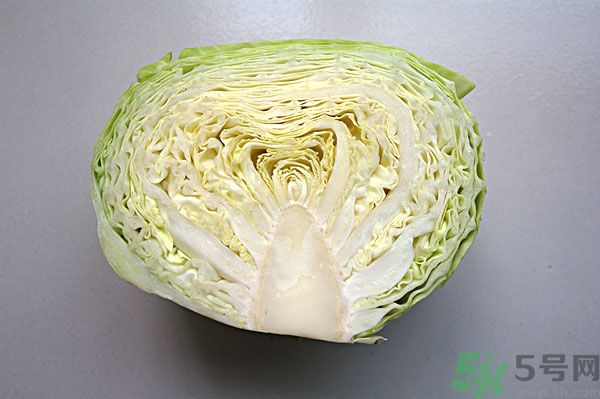 包菜能和魚(yú)一起吃嗎？魚(yú)可以和包菜一起吃嗎？