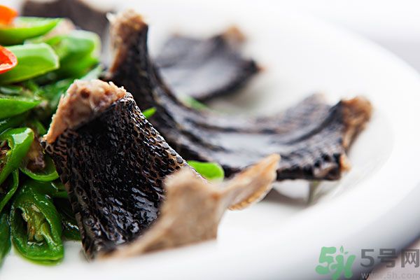 蛇肉有什么功效？蛇肉的功效是什么？
