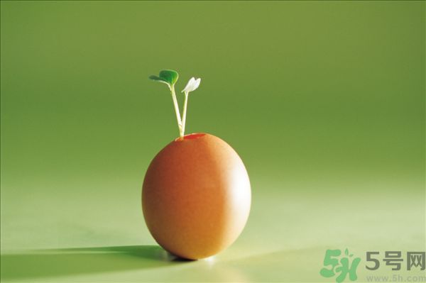 生菜和雞蛋能一起吃嗎？生菜和雞蛋一起怎么做？