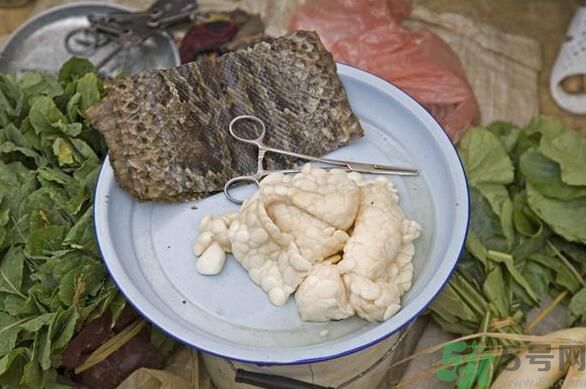 夏天吃蛇肉可以清火嗎？夏天吃蛇肉可以降火嗎？