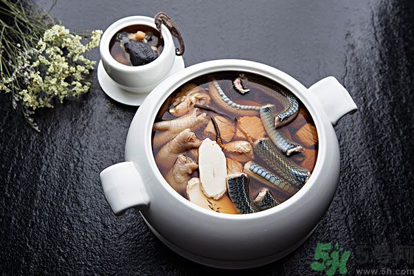 蛇肉是涼性嗎？蛇肉是涼性還是熱性？