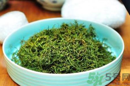 苦菜茶可以和綠茶一起喝嗎？苦菜茶可以和其他茶一起喝嗎？