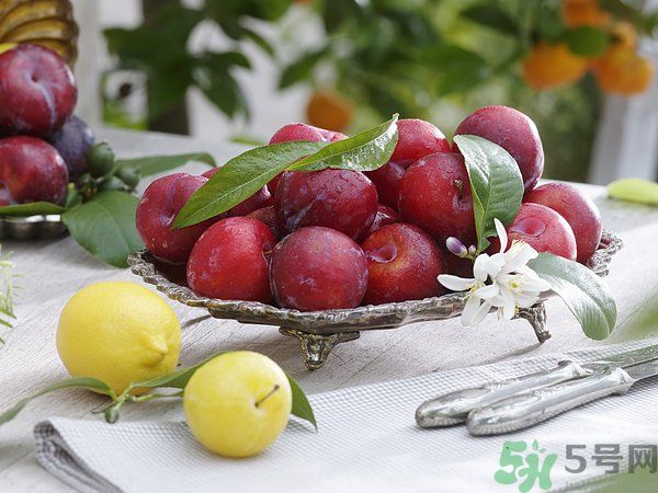 為什么說(shuō)李子樹下埋死人？李子的食用禁忌有哪些？