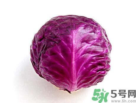 紫甘藍是涼性嗎？紫甘藍是涼性還是熱性？