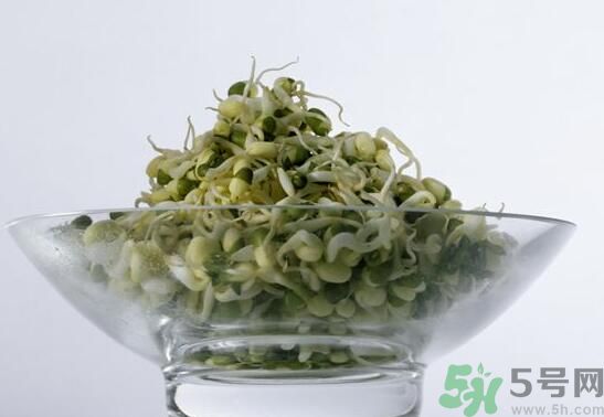 怎樣自己發(fā)綠豆芽？綠豆芽怎樣自己發(fā)？