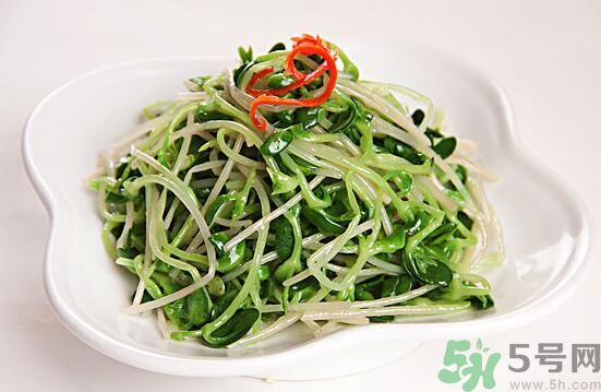 怎樣自己發(fā)綠豆芽？綠豆芽怎樣自己發(fā)？